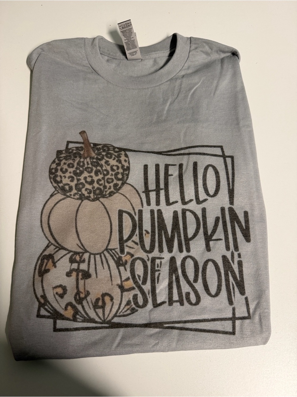 Hello Pumpkin Season Graphic Tee - Light Gray with Neutral Pumpkin Print
